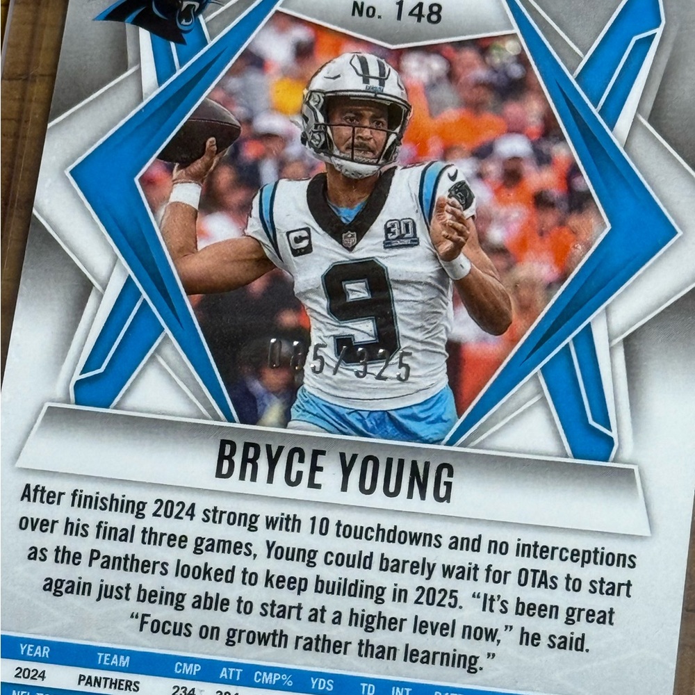 Panthers Lot - Picture 3 of 3